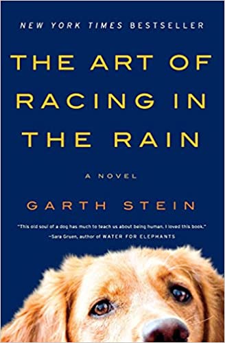 Garth Stein - The Art of Racing in the Rain Audio Book Stream