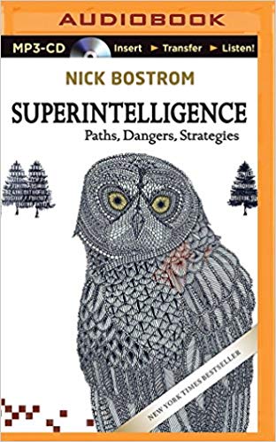 Nick Bostrom - Superintelligence Audio Book Free